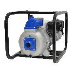 2″ IPT High Pressure Pumps from AMT